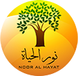 Noor Alhayat Organization